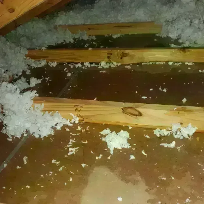 Attic Water Damage in North Royalton, OH