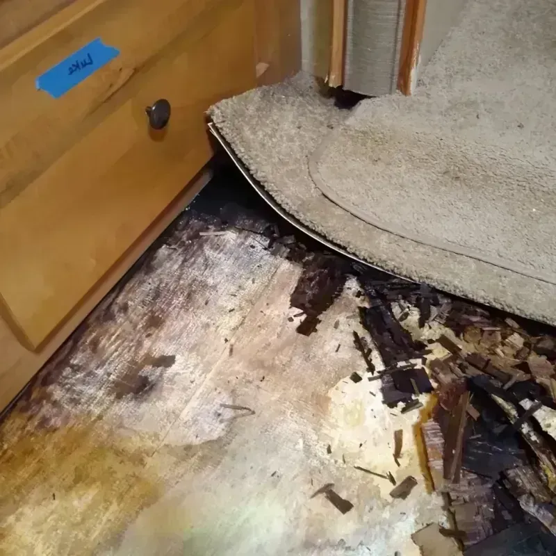 Wood Floor Water Damage in North Royalton, OH